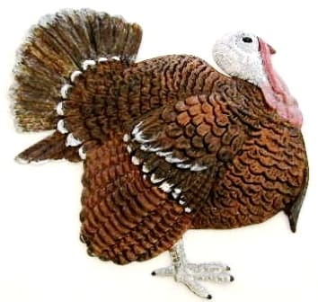 Turkey, Refrigerator Magnet